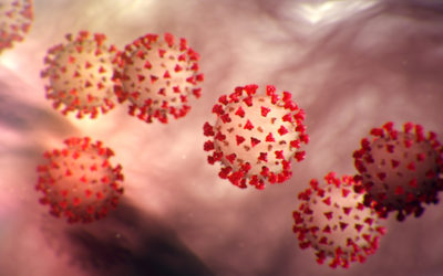 Illinois Catholic dioceses respond to coronavirus