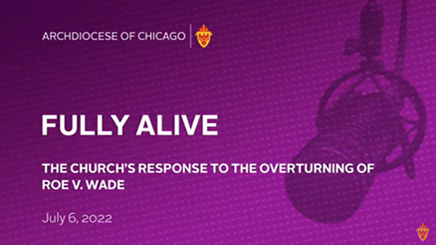 Catholic Chicago Podcast Features CCI Executive Director